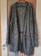 Long gilet ou Manteau, Vêtements | Femmes, Vestes | Hiver, Comme neuf, Noir, Taille 46/48 (XL) ou plus grande, Enlèvement