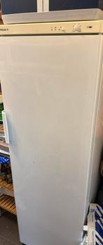 Diepvries friac 180h 60 breed 8 vakken waarvan 6 schuiven, Elektronische apparatuur, Vriezers en Diepvrieskisten, Ophalen, Gebruikt