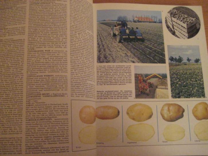 Nieuwe geïllustreerde Encyclopedie – Lekturama – deel 1, Boeken, Encyclopedieën, Nieuw, Los deel, Ophalen of Verzenden