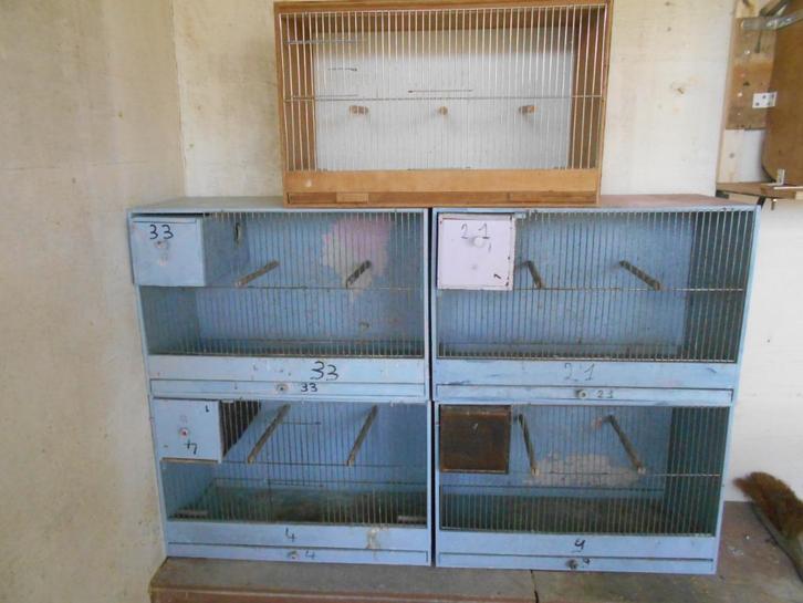 kweekkooien, Dieren en Toebehoren, Vogels | Hokken en Kooien, Gebruikt, Broedkooi of Kweekkooi, Hout, Ophalen