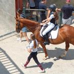 2 bijrijders beschikbaar, Grimbergen