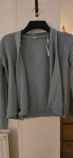 Gillet pour fille, Enlèvement ou Envoi, Utilisé, Fille, Pull ou Veste