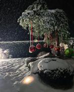 krokusverlof  wintersport, Vakantie