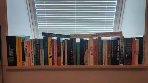 Assortiment boeken (44 stuks), Boeken, Romans, Gelezen, België, Ophalen of Verzenden