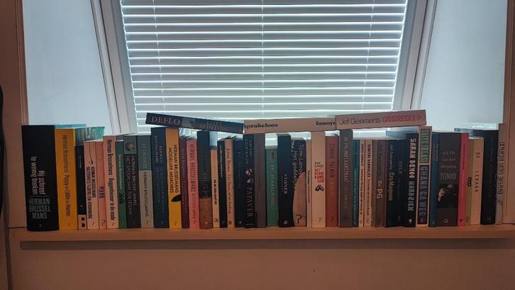 Assortiment boeken (44 stuks), Boeken, Romans, Gelezen, België, Ophalen of Verzenden
