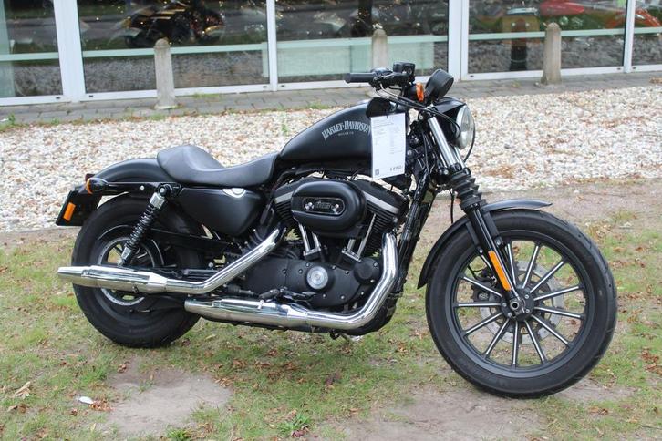 Harley-Davidson Sportster XL 883 sportster 883 iron, Motoren, Motoren | Harley-Davidson, Bedrijf, Chopper