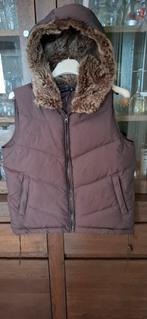Vue sur Mer bruine bodywarmer Maat M € 25, Enlèvement ou Envoi, Taille 38/40 (M)