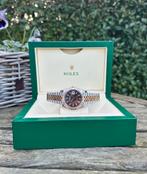Rolex Datejust Rose Goud “Chocolate”, Ophalen of Verzenden, Nieuw, Goud, Rolex