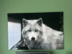 Foto Canvas Wolf - Plexiglas, Huis en Inrichting, Woonaccessoires | Schilderijen, Tekeningen en Foto's, Ophalen, Gebruikt, 125 cm of meer