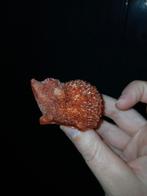 Orgonite egel roze of rood, Juli, Geslacht onbekend