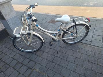 Venturelli idolo 24 inch beschikbaar voor biedingen