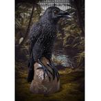 Corbeau nocturne mystique géant — Corbeau 99,1 x 53,3 x 149,