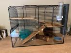 Hamsterkooi met toebehoren, Dieren en Toebehoren, Kooi, Minder dan 75 cm, Zo goed als nieuw, Hamster