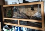 Houten terrarium 1m met toebehoren, Ophalen, Zo goed als nieuw