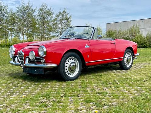 Alfa Romeo Giulia 1600 Spider MET GTA 1600 MOTORONDERDELEN, Auto's, Oldtimers, Bedrijf, Te koop, Alfa Romeo, Benzine, Cabriolet