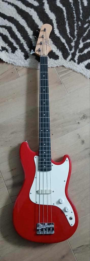 Eko basse bb100 bronco  beschikbaar voor biedingen