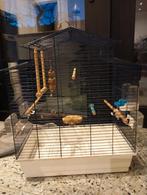 Een kooi voor vogels, Dieren en Toebehoren, Ophalen, Zo goed als nieuw