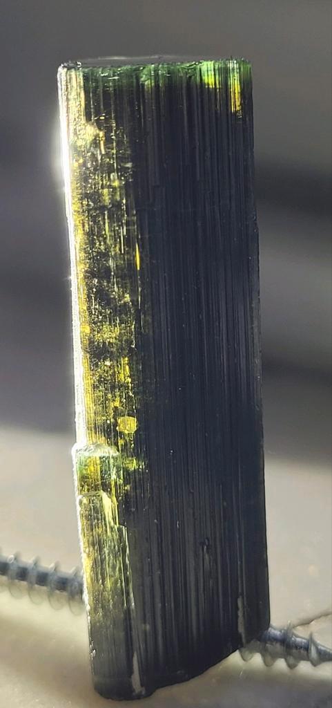 Toermalijn Stak Nala Pakistan (3), Verzamelen, Mineralen en Fossielen, Mineraal, Ophalen of Verzenden