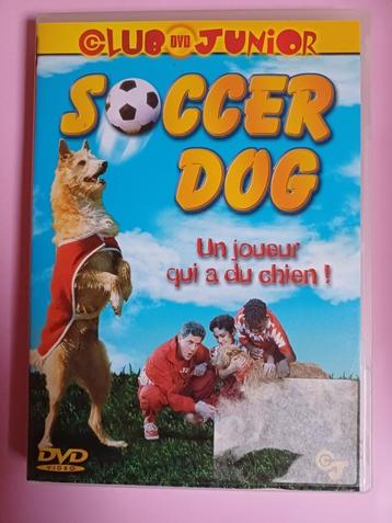 DVD voetbalhond: een speler die een hond heeft beschikbaar voor biedingen