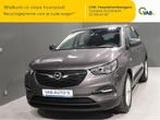 Opel Grandland X   EDITION  1.2 TURBO ECOTEC, https://public.car-pass.be/vhr/7c04d33e-f1a9-469c-a3bf-7075df68e99d, Bedrijf, Handgeschakeld
