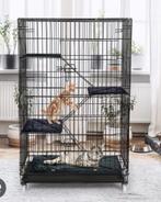 Kattenkooi, Ophalen, Zo goed als nieuw