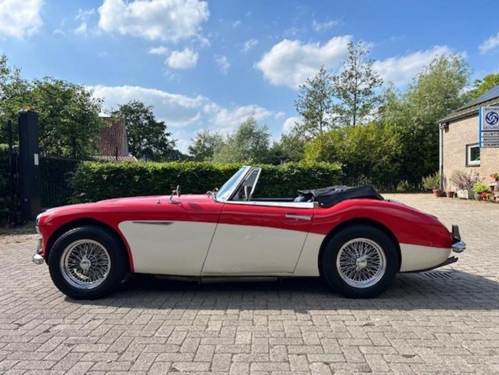 Austin Healey 3000, 1964, Auto's, Austin, Particulier, Lederen bekleding, Open dak, Benzine, Cabriolet, 2 deurs, Handgeschakeld