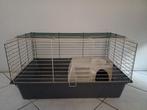 Kooi cavia ferplast, Dieren en Toebehoren, Knaagdieren en Konijnen | Hokken en Kooien, Kooi, Gebruikt, 75 tot 110 cm, Cavia