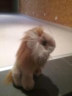 knuffel leeuw, Ophalen of Verzenden, Zo goed als nieuw, Overige typen