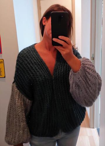 Gilet one size beschikbaar voor biedingen