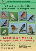 Putters,goudvinken,sijzen vogelshow, Dieren en Toebehoren