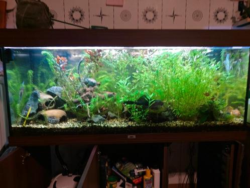 Juwel aquarium met alle toebehoren, Dieren en Toebehoren, Vissen | Aquaria en Toebehoren, Zo goed als nieuw, Ophalen