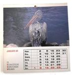 kalender 1984 met 12 postkaarten met dieren, Diversen, Kalenders, Ophalen of Verzenden, Maandkalender, Gebruikt
