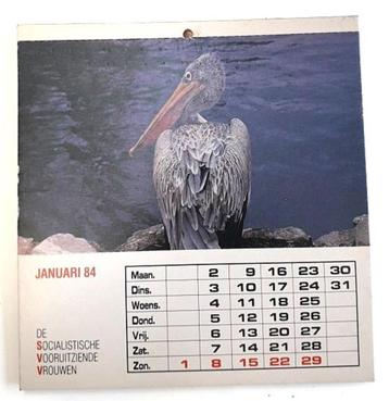 kalender 1984 met 12 postkaarten met dieren beschikbaar voor biedingen