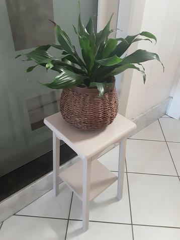 Stevig plantentafeltje ! KOOPJE  beschikbaar voor biedingen