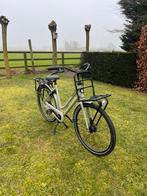 Vélo robuste Gazelle vert clair pour femmes, Enlèvement, Double standard, 56 cm ou plus, Gazelle