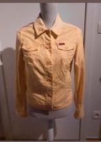 Vestje, Ophalen of Verzenden, Maat 38/40 (M), Geel