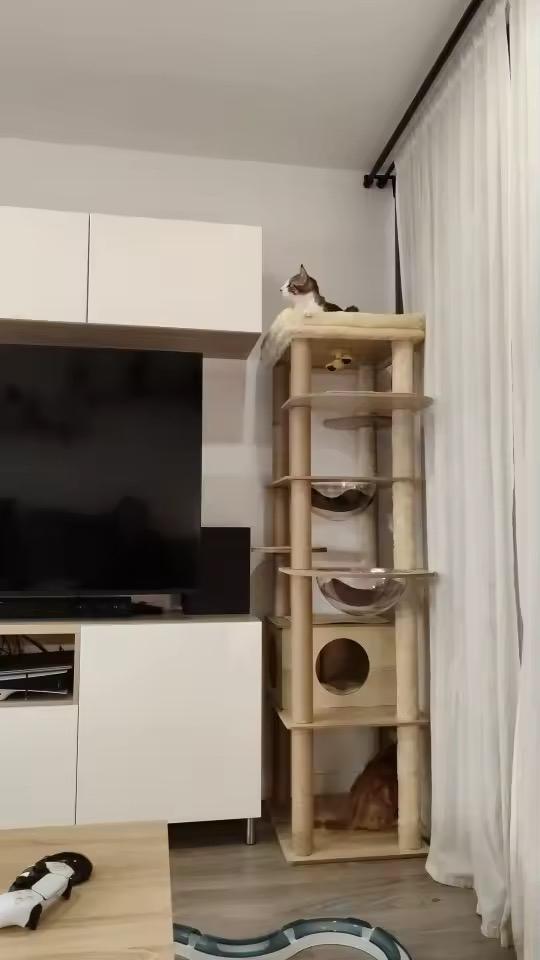 Luxe hoge krabpaal 180cm met capsule – houtlook, Dieren en Toebehoren, Krabmeubelen, Ophalen of Verzenden