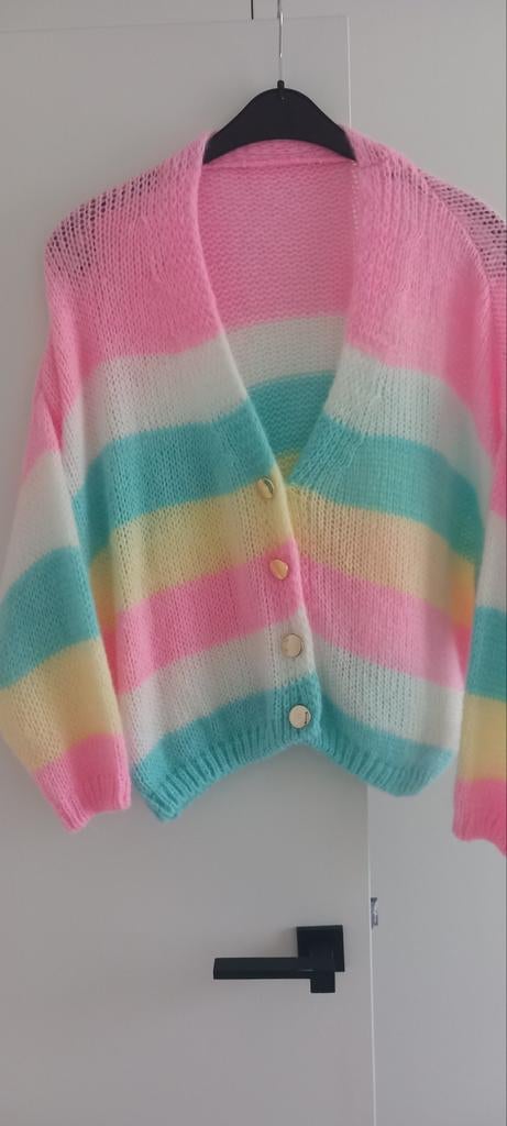 Nieuw dames vest in pastel kleuren, universele maat., Kleding | Dames, Truien en Vesten, Nieuw, Overige kleuren, Ophalen