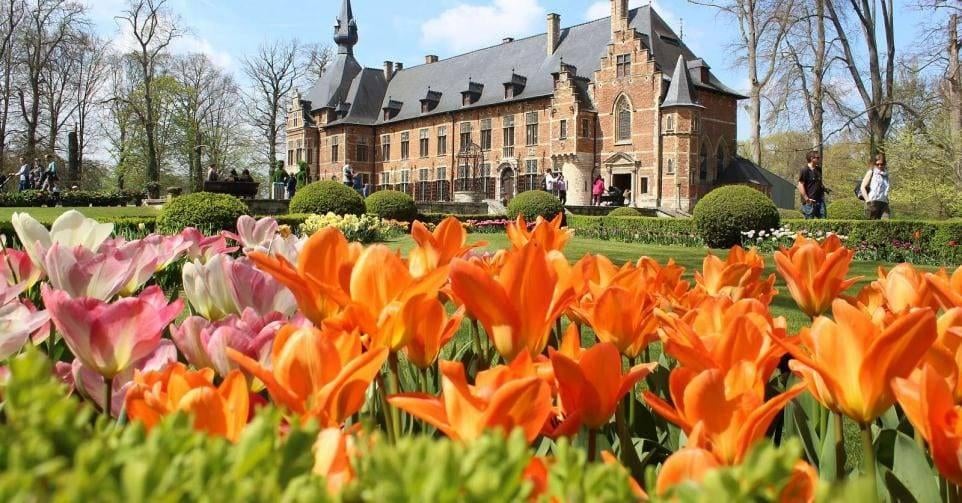 Ticket voor Floralia Brussels, Tickets en Kaartjes, Evenementen en Festivals, Eén persoon