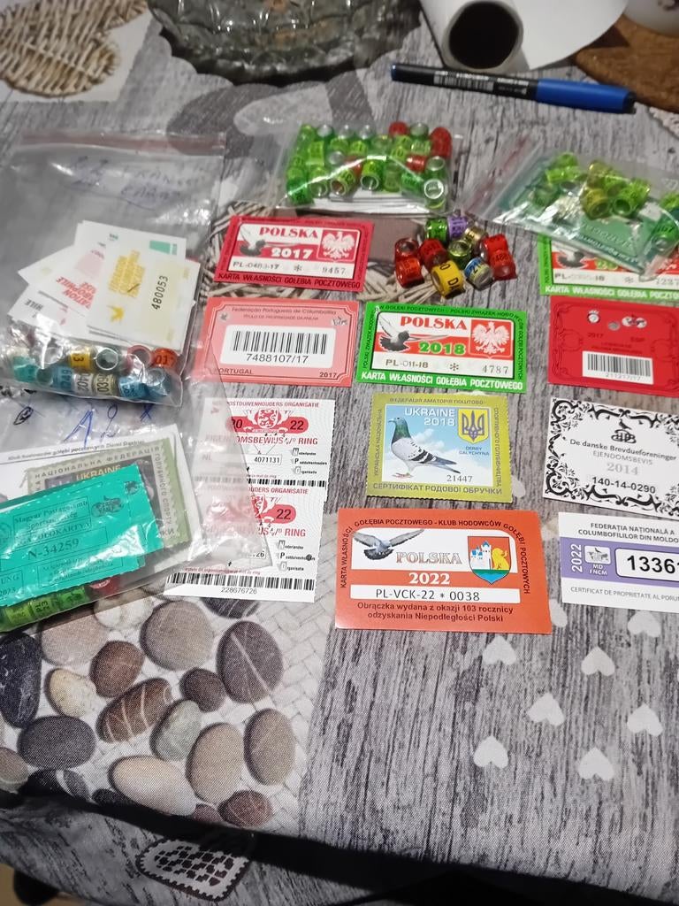 Duiven duiven duivenring duivenringen duivenringen