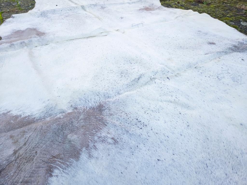 Natuurlijke Witte Koeienhuid met Authentiek Brandmerk – XL, Huis en Inrichting, Stoffering | Tapijten en Vloerkleden, Ophalen