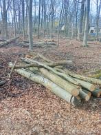 Bois de chauffage en 4m, Enlèvement, Hêtre, Troncs d'arbres