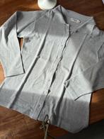 Gilet Lisa Campione taille M/L, Vêtements | Femmes, Pulls & Gilets, Taille 38/40 (M), Gris, Enlèvement ou Envoi, Lisa Campione