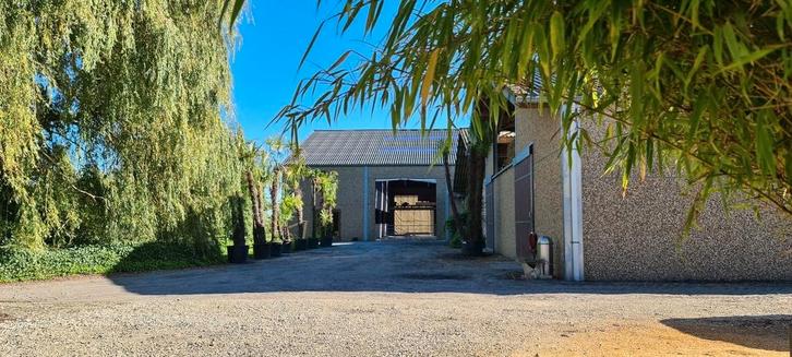 Box disponible à Brugelette/Ath, Dieren en Toebehoren, Stalling en Weidegang, 2 of 3 paarden of pony's