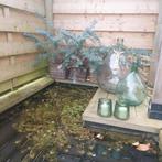 Dame Jeanne/bouteille de levure, Jardin & Terrasse, Enlèvement