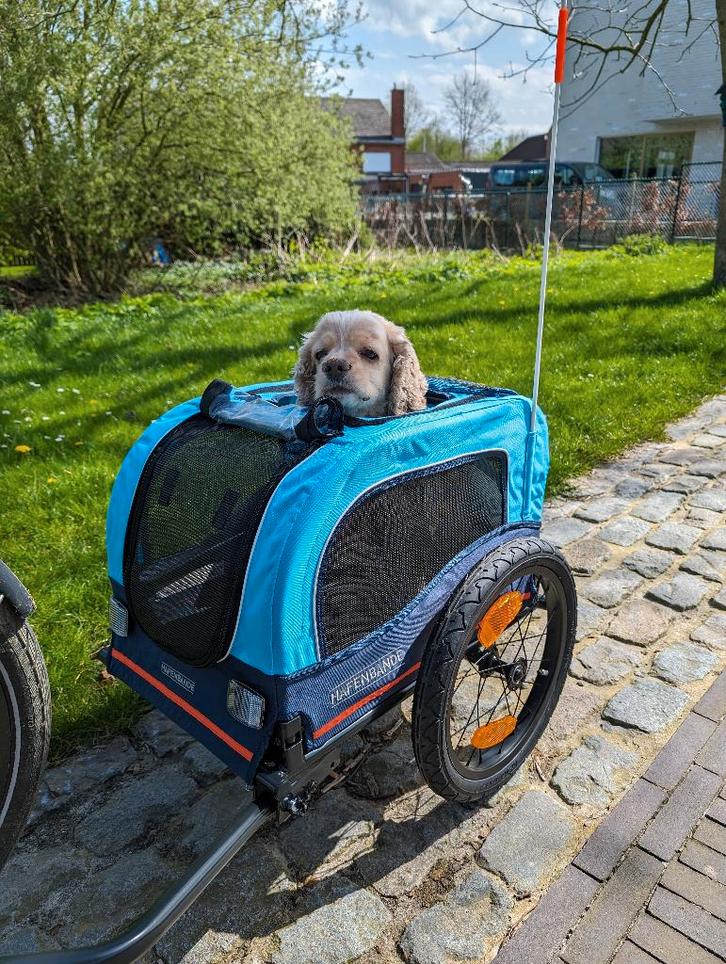 HAFENBANDE Hondenfietskar Cabby S, Fietsen en Brommers, Fietsaccessoires | Aanhangwagens en Karren, Zo goed als nieuw, Hondenkar