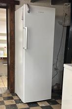 diepvriezer horeca Scandomestic, Zakelijke goederen, Ophalen, Gebruikt, Koelen en Vriezen