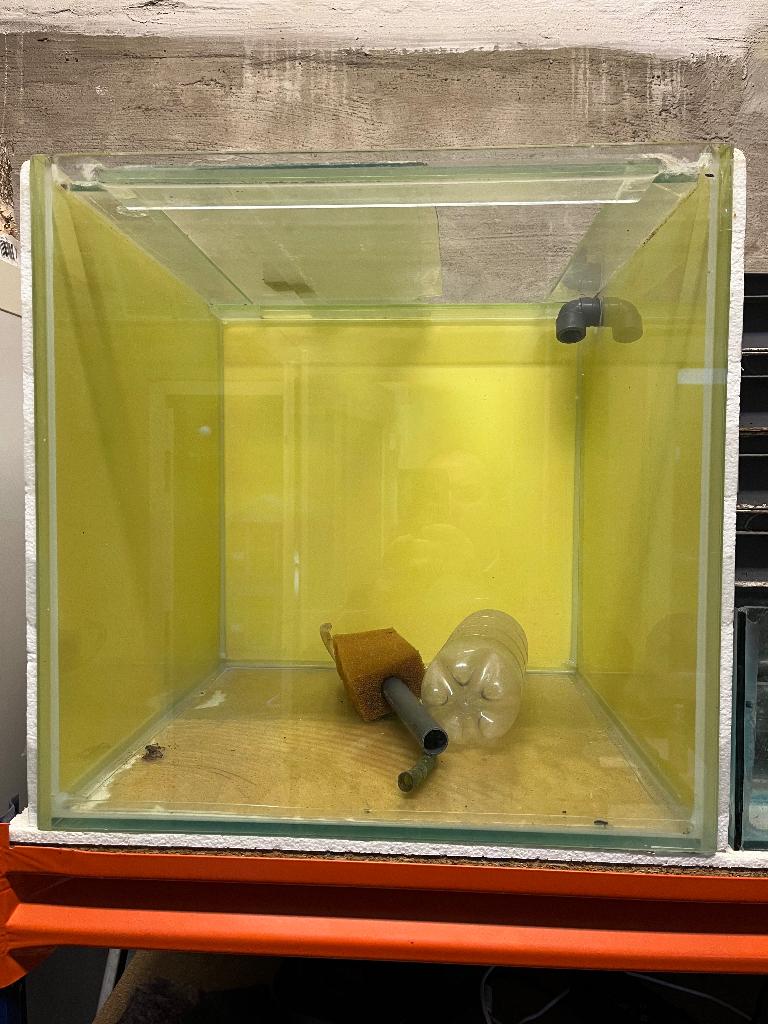 aquarium, Enlèvement, Utilisé, Aquarium vide