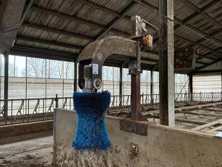 Delaval Koeborstel, Dieren en Toebehoren, Stalling en Weidegang