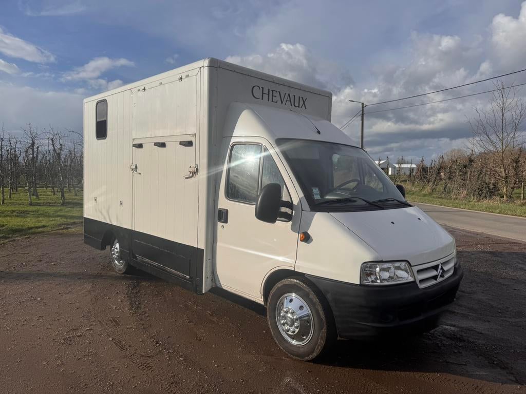 Paardencamionette, Dieren en Toebehoren, Paarden en Pony's | Trailers en Aanhangwagens, Ophalen